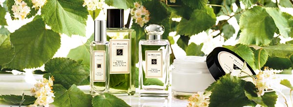 國祖馬龍植物廣告創意設計01