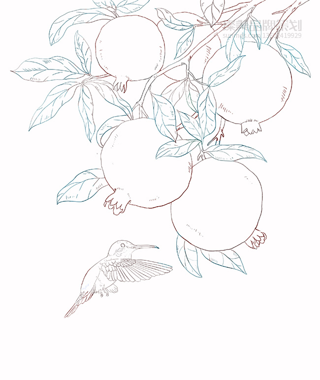 優(yōu)粹護膚植物國潮風(fēng)手繪線稿圖